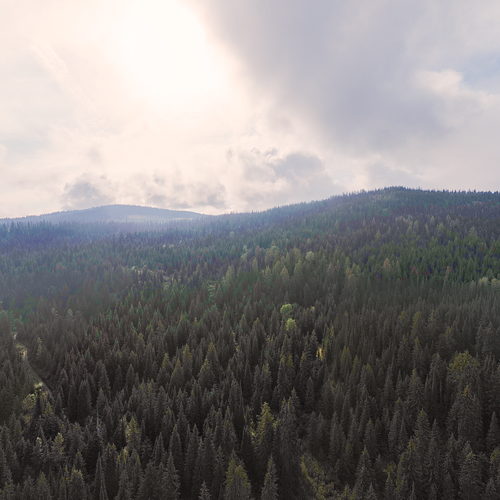 UpSide Gold Corp 360 virtual tour cover