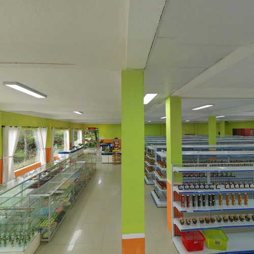 Rừng hoa Đà Lạt 360 virtual tour cover