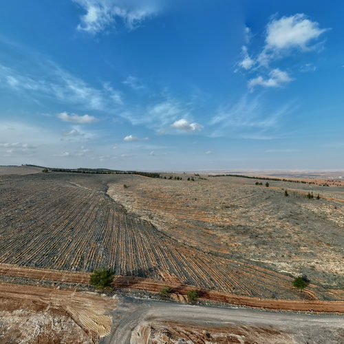 Sokak Hayvanları Emin Ellerde 360 virtual tour cover