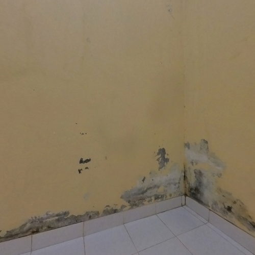 FADLI - DEPOK 360 virtual tour cover