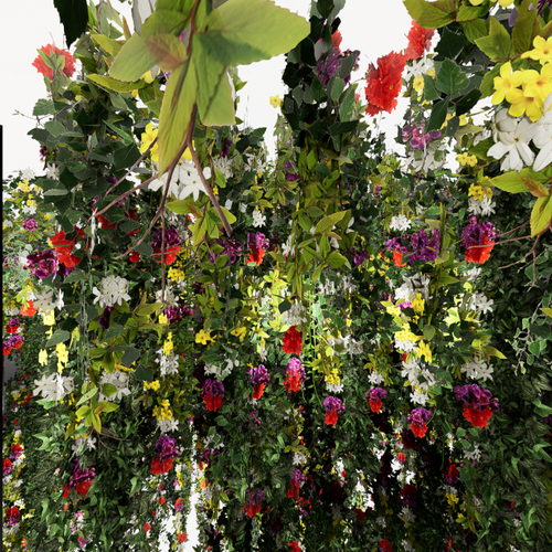 CBG Escudo Infinity Flowers 360 virtual tour cover