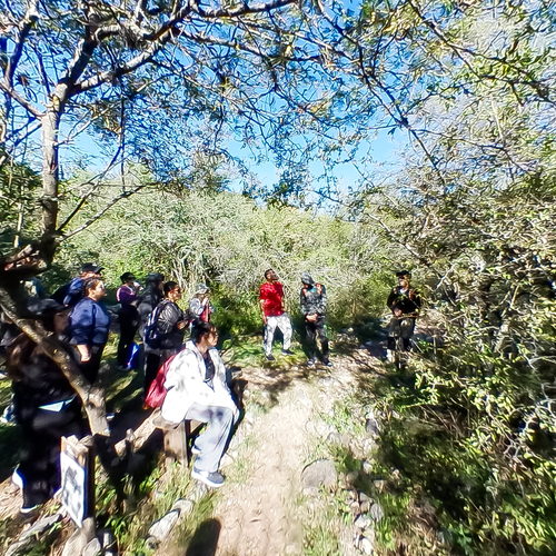 Excursión-El Saladillo - Juan Caro 360 virtual tour cover