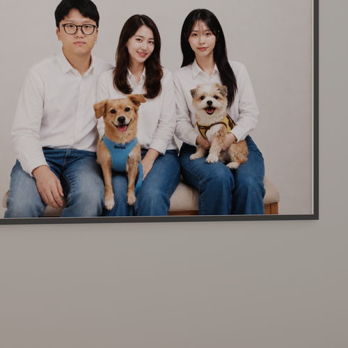 유기견보호소 360 virtual tour cover