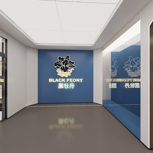 SHOWROOM BLACK PEONY 360 virtual tour cover
