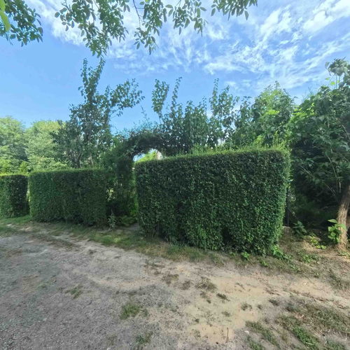 Działka ROD 469 360 virtual tour cover
