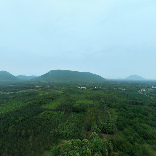 Thattabanda 360 view 360 virtual tour cover