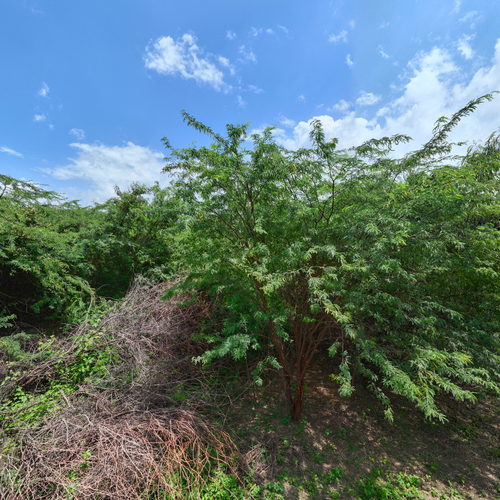 ANJANEYA TEMPLE 360 virtual tour cover