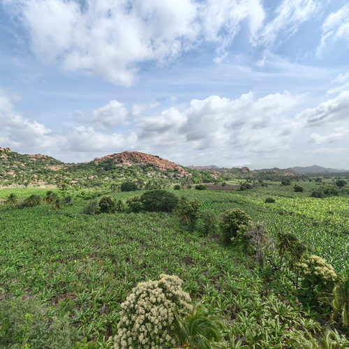 GANESH TEMPLE 360 virtual tour cover