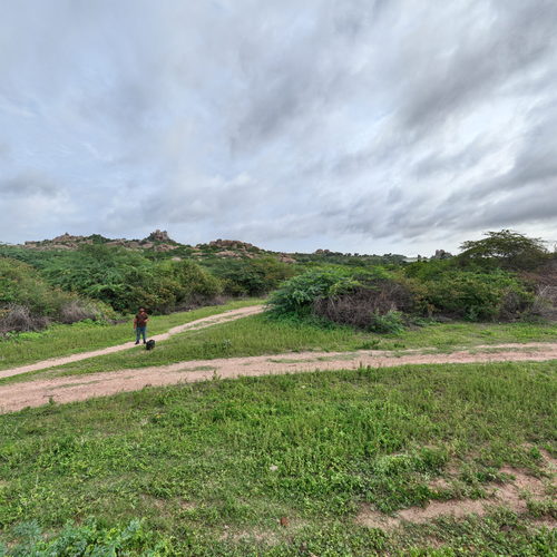 UNAMED TEMPLE 360 virtual tour cover
