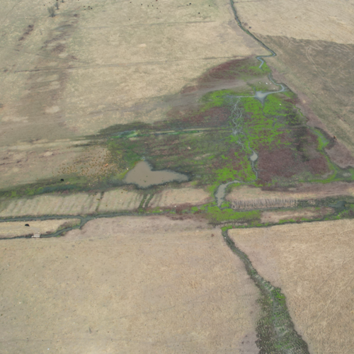 Mthinzima Wetland Virtual Tour 360 virtual tour cover